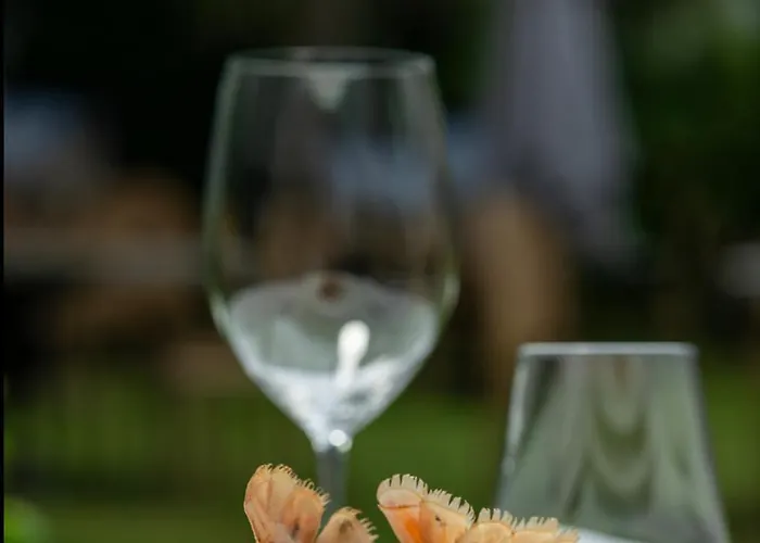 Du Grand Cerf & Hotel 3*